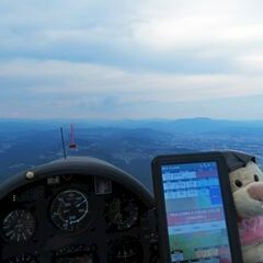 Flugwegposition um 15:24:17: Aufgenommen in der Nähe von Gemeinde Unterpremstätten, Österreich in 1129 Meter